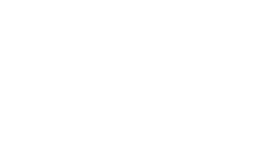 logo light